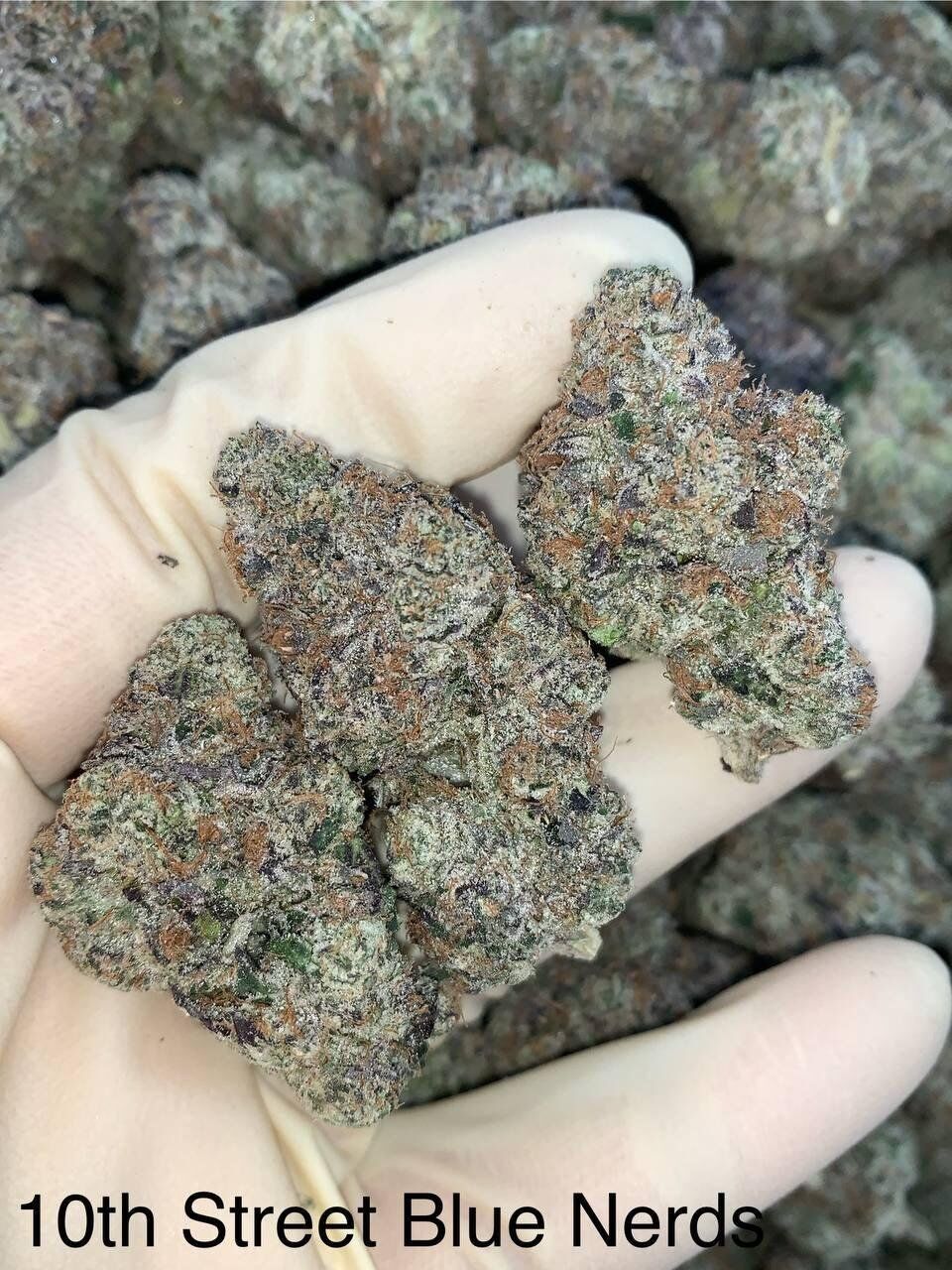 10th Street Blue Nerds - Image 2