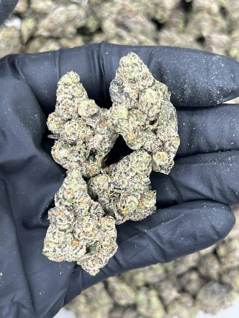 Gas Face
