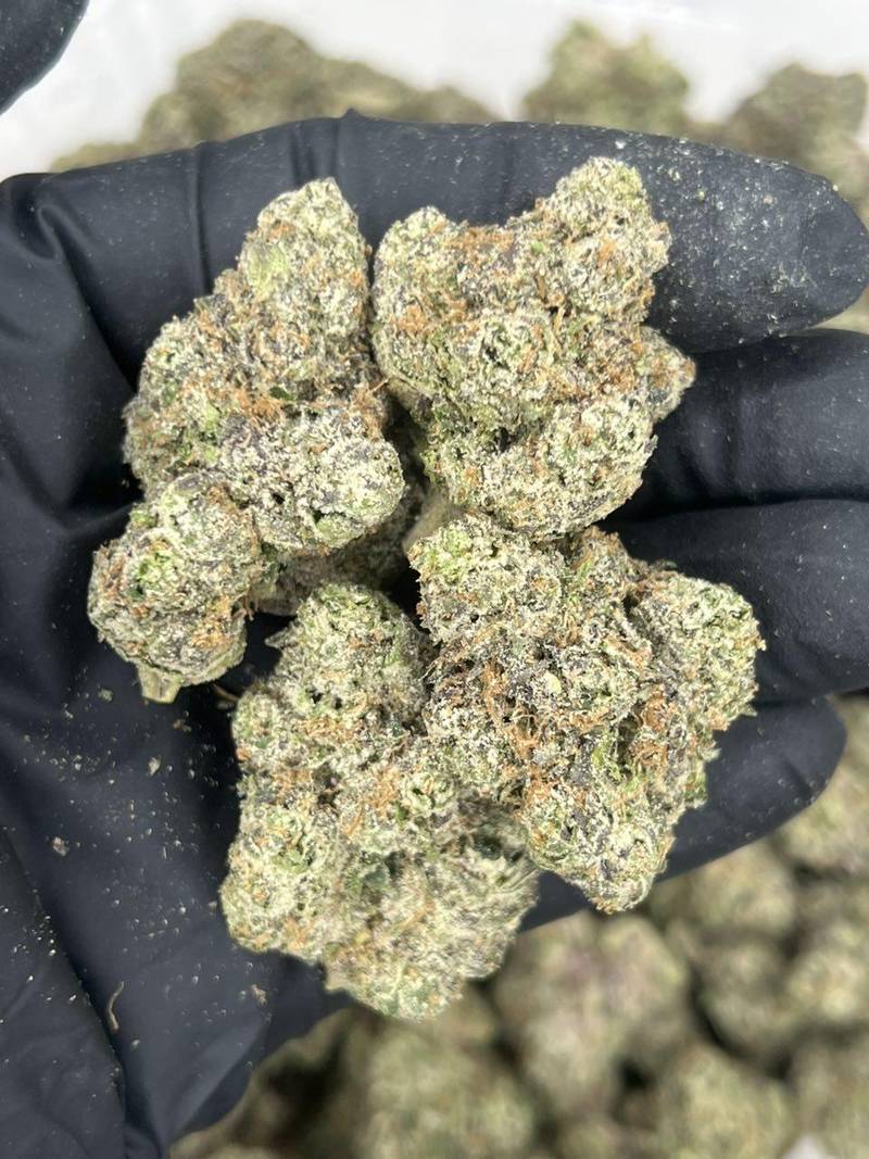 L4 Tropical Punch A