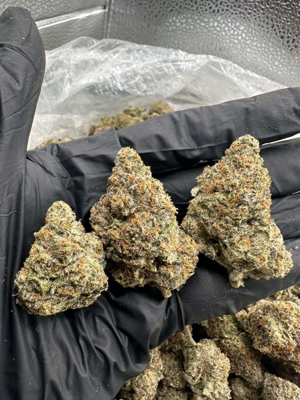 14Gs