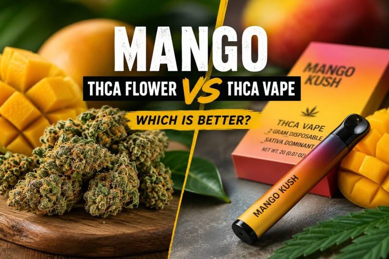 Mango THCA Flower vs Mango THCA Vape: Key Differences & Best Choice