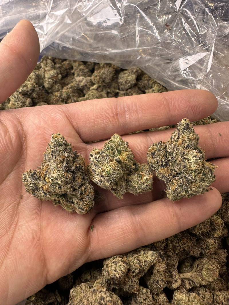 A27 Blue Nerds THCa Flower
