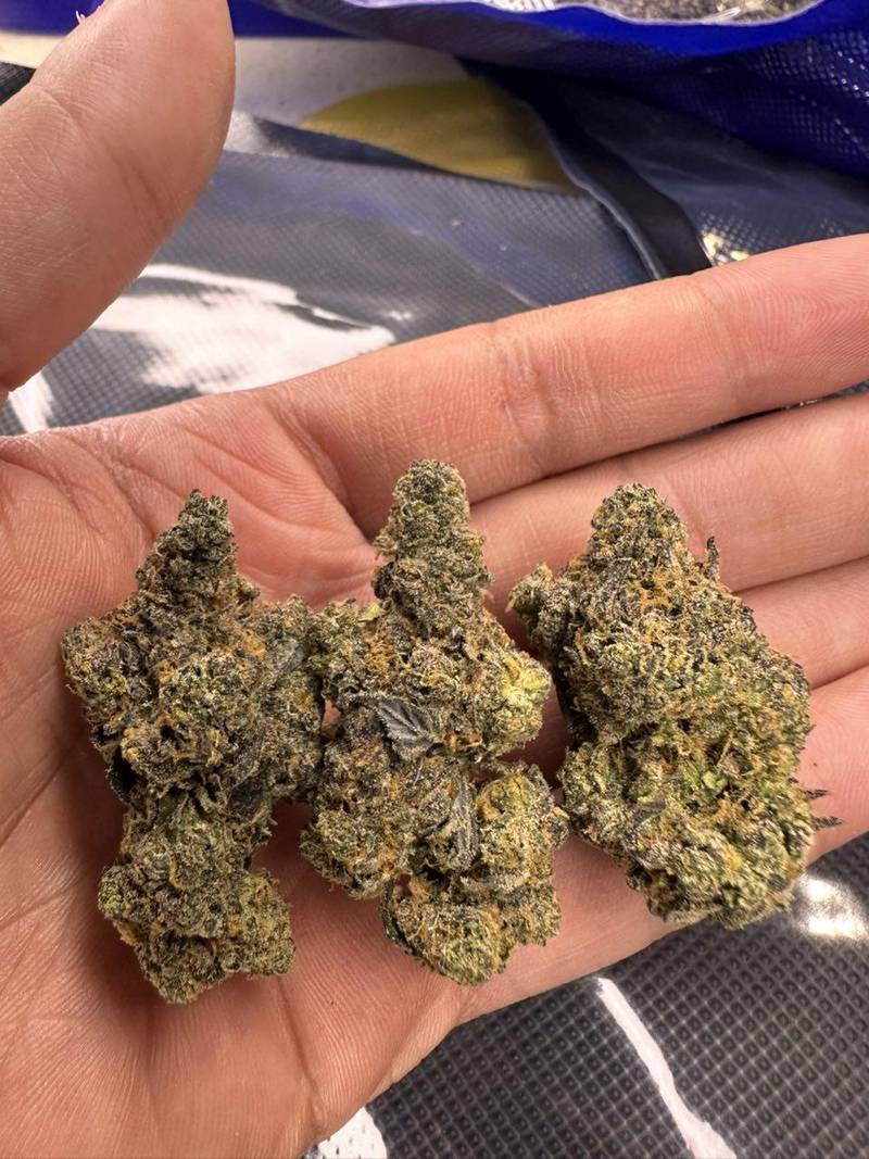 Grandma's Cookies THCA Flower