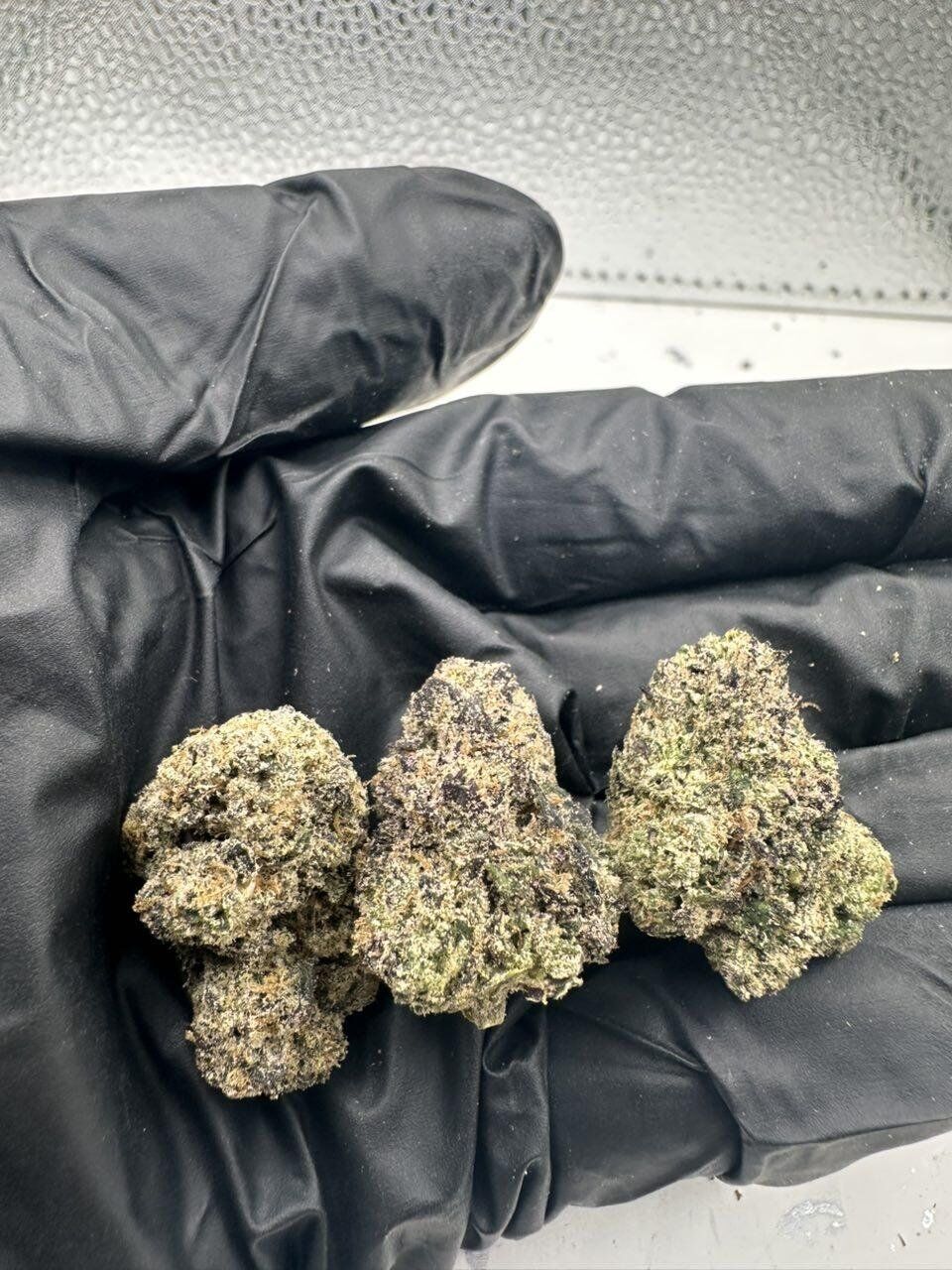 MR LCG THCa Flower