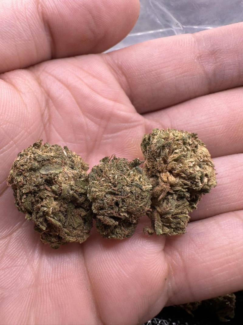 Trap Snacks THCa Flower
