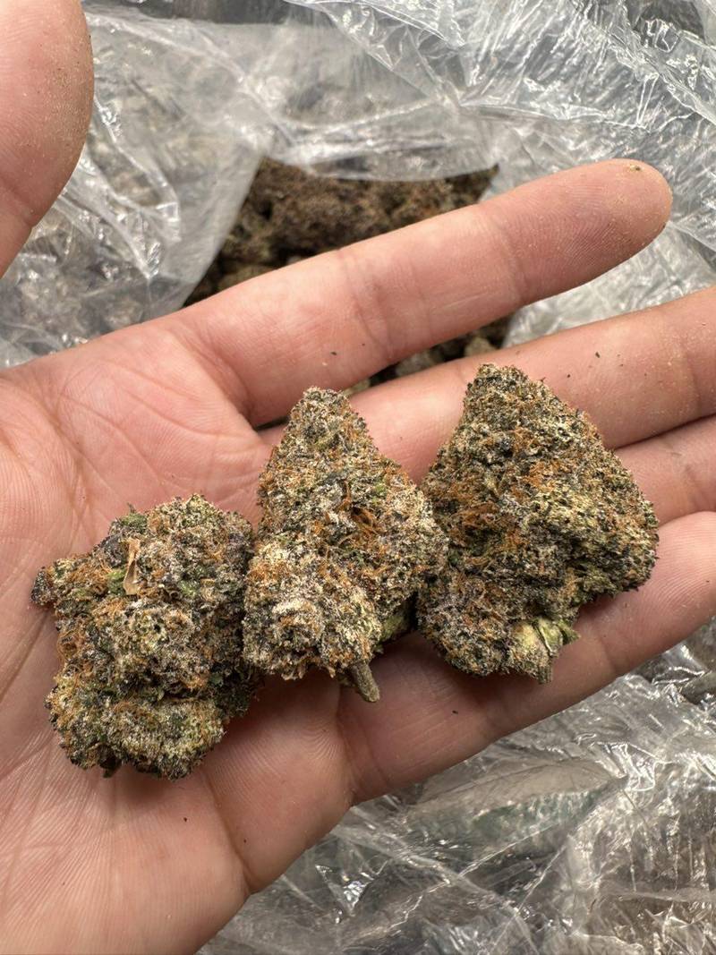 Bolo Runtz THCa Flower