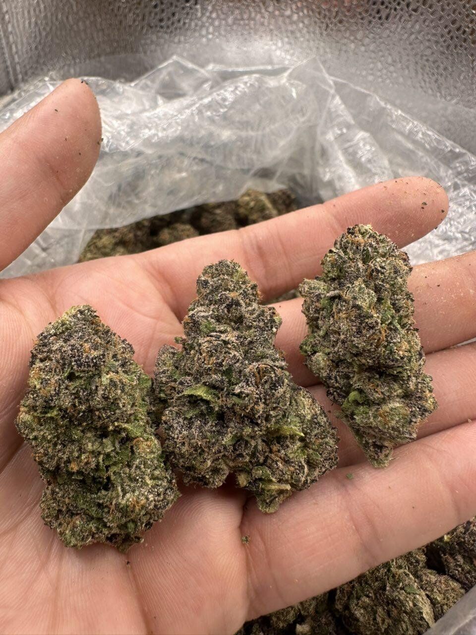 Candy Cartel THCa Flower