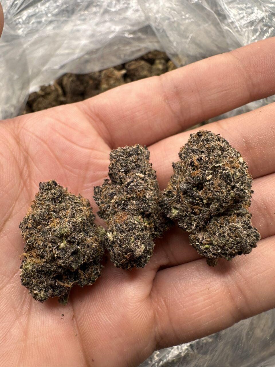 LMD THCa Flower