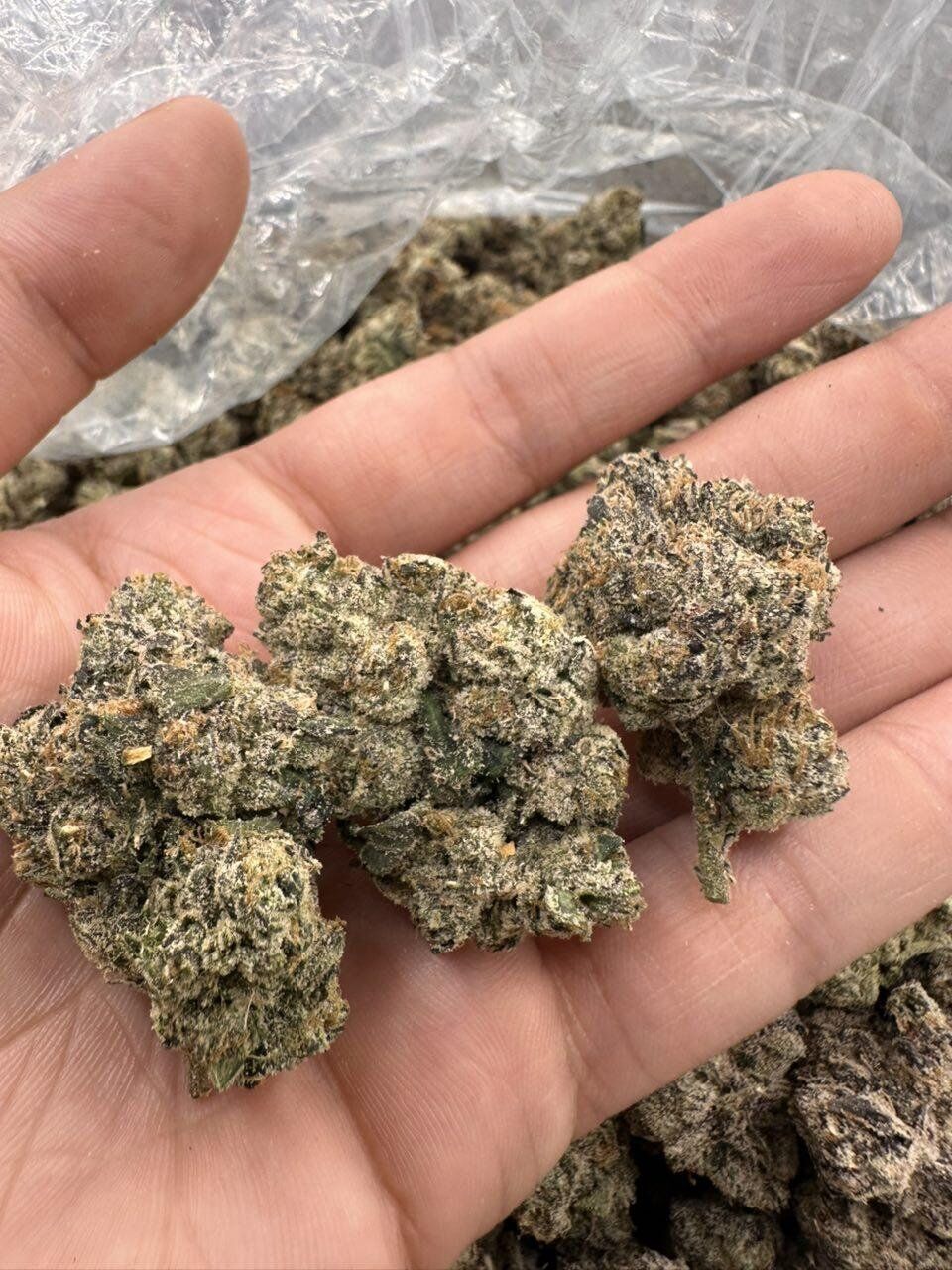 PCG THCa Flower