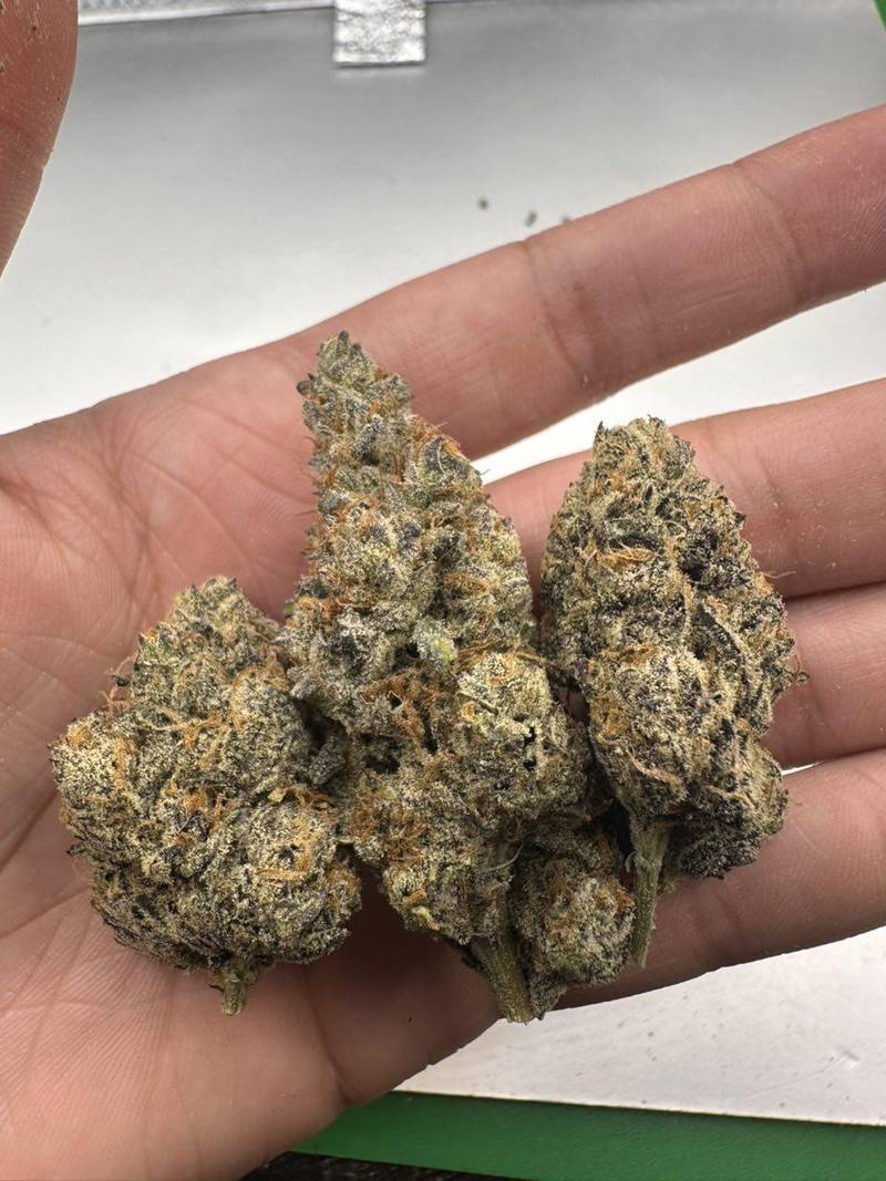 Victory Lap THCa Flower