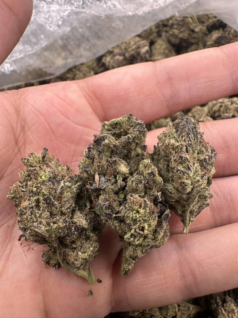 Violet Fog THCa Flower