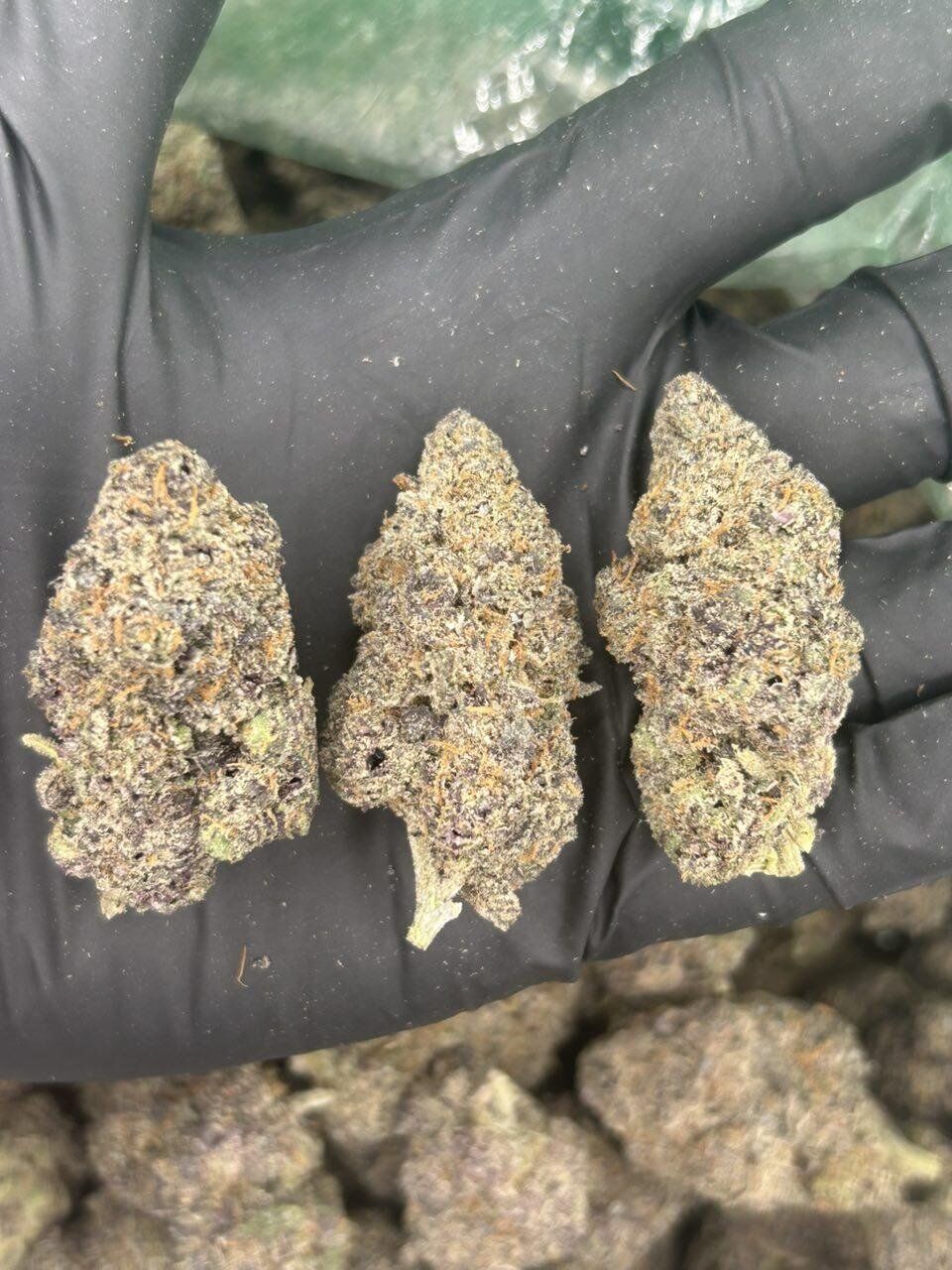 Grape Lobster THCA Flower