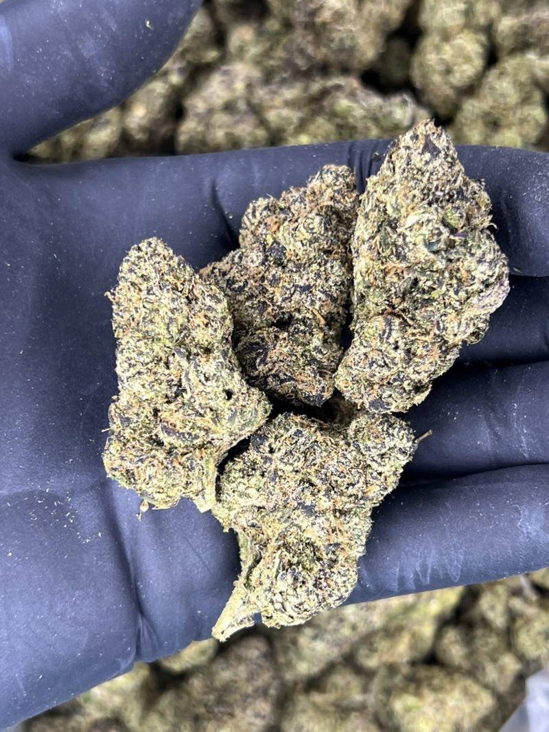 Blue Nerdz 🫐 🍭 - Image 3