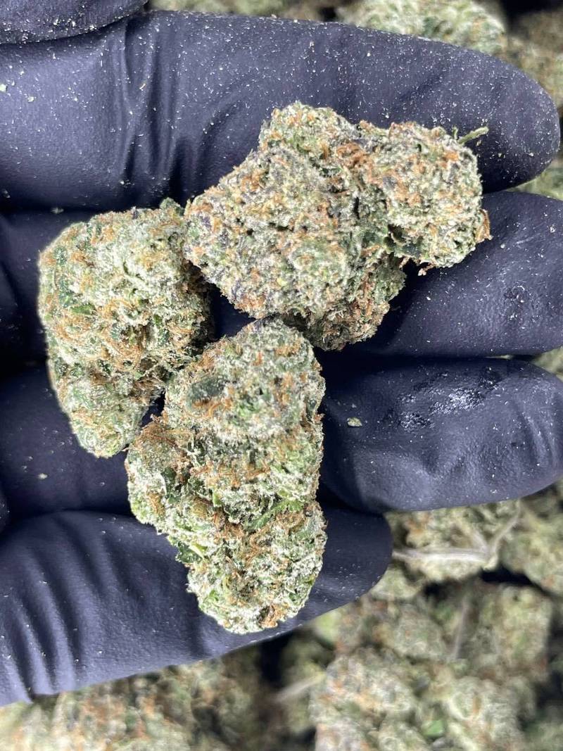 Lemon Cherry Gelato - Image 2