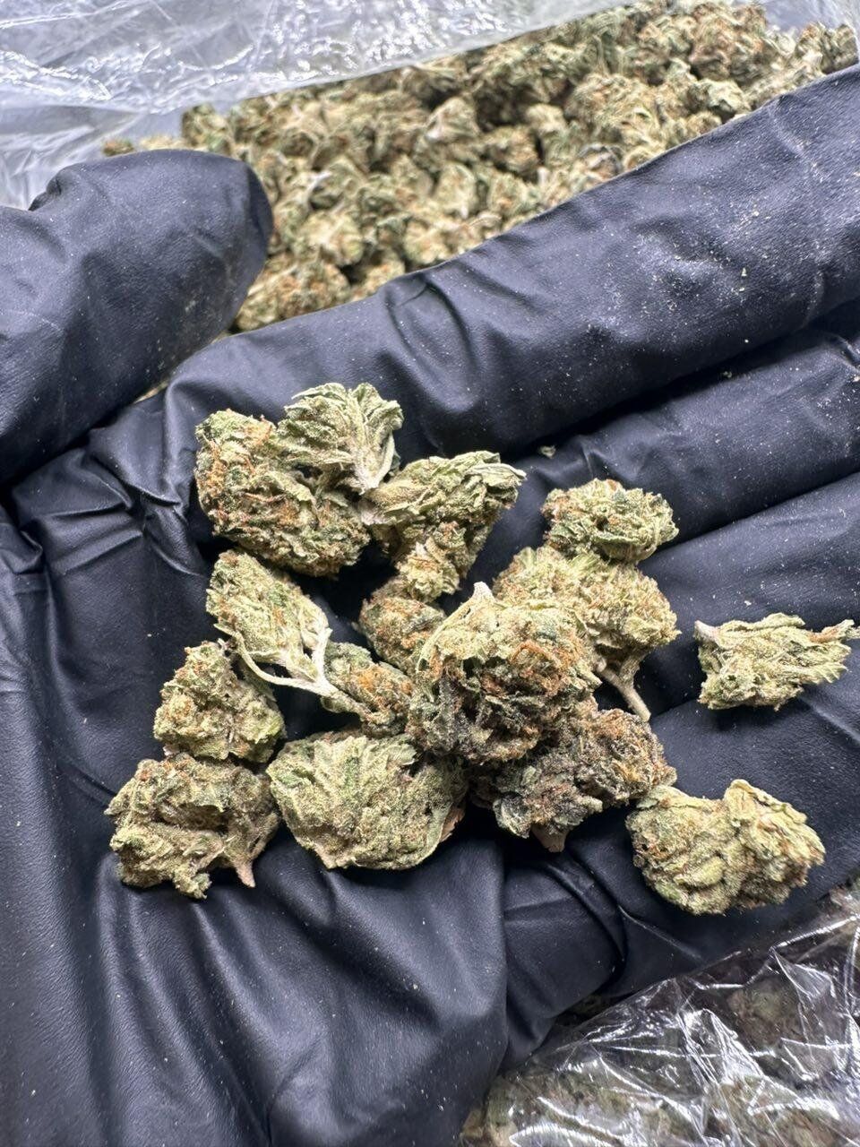 Keylime Pie Smalls