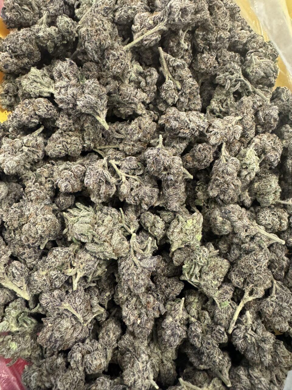 Purple Punch