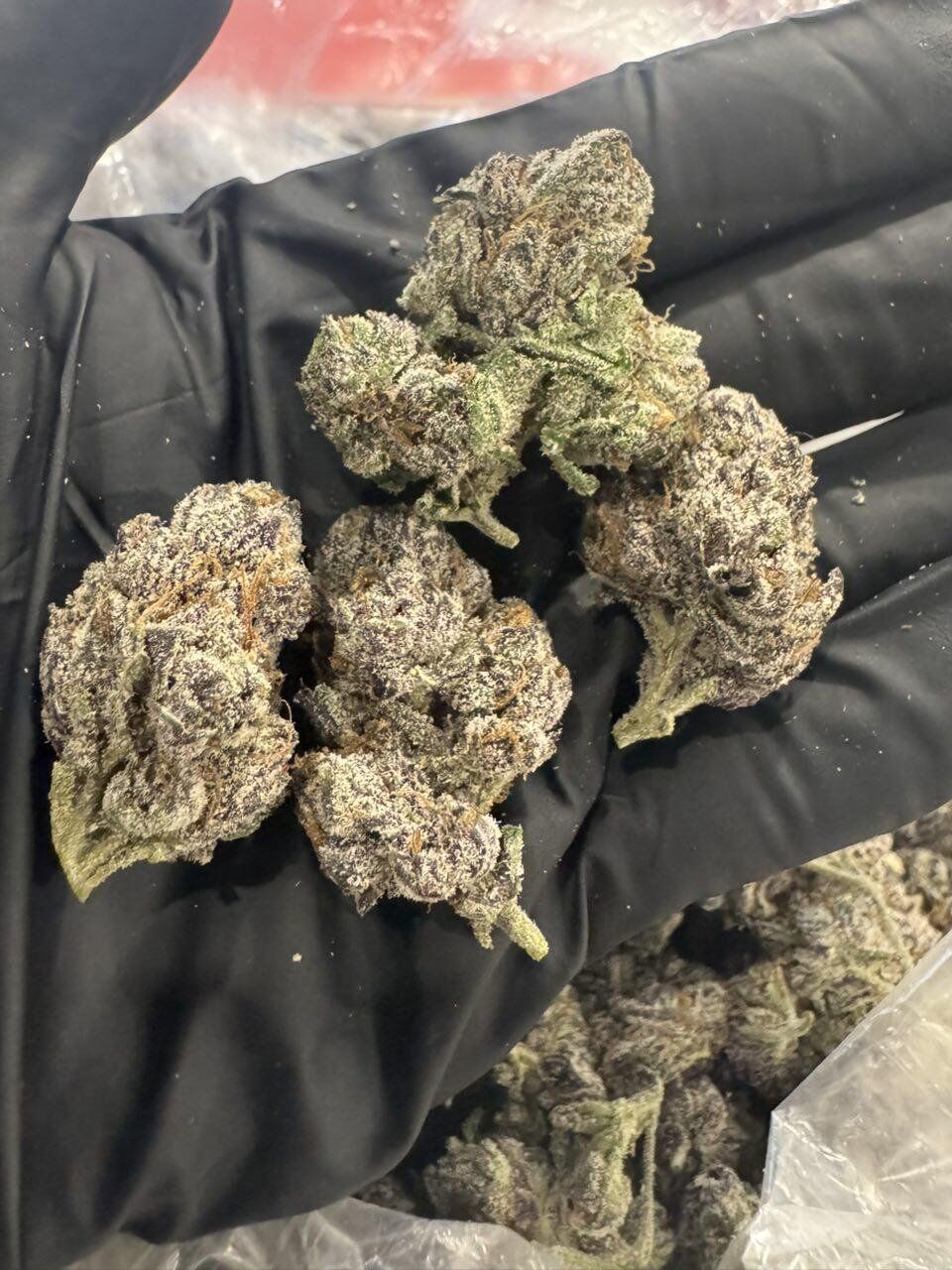 Purple Punch - Image 2