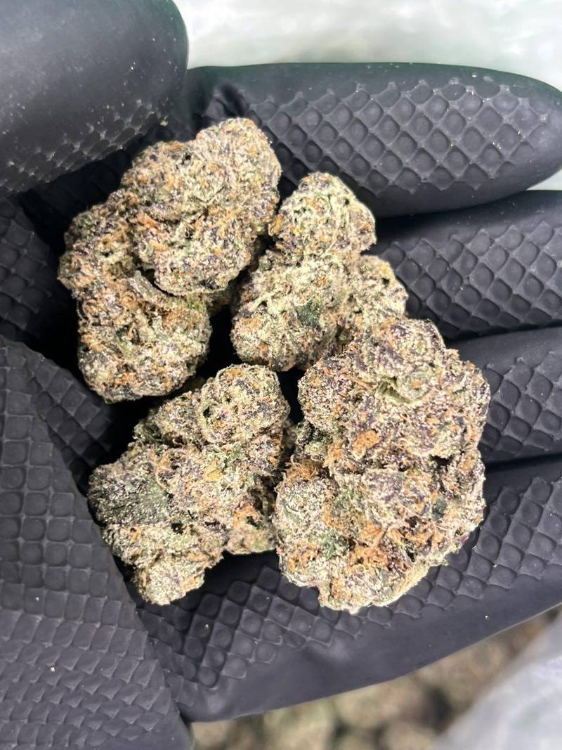 Frosted Candy - Image 2