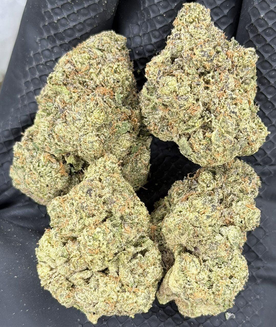 Sherbet - Image 2