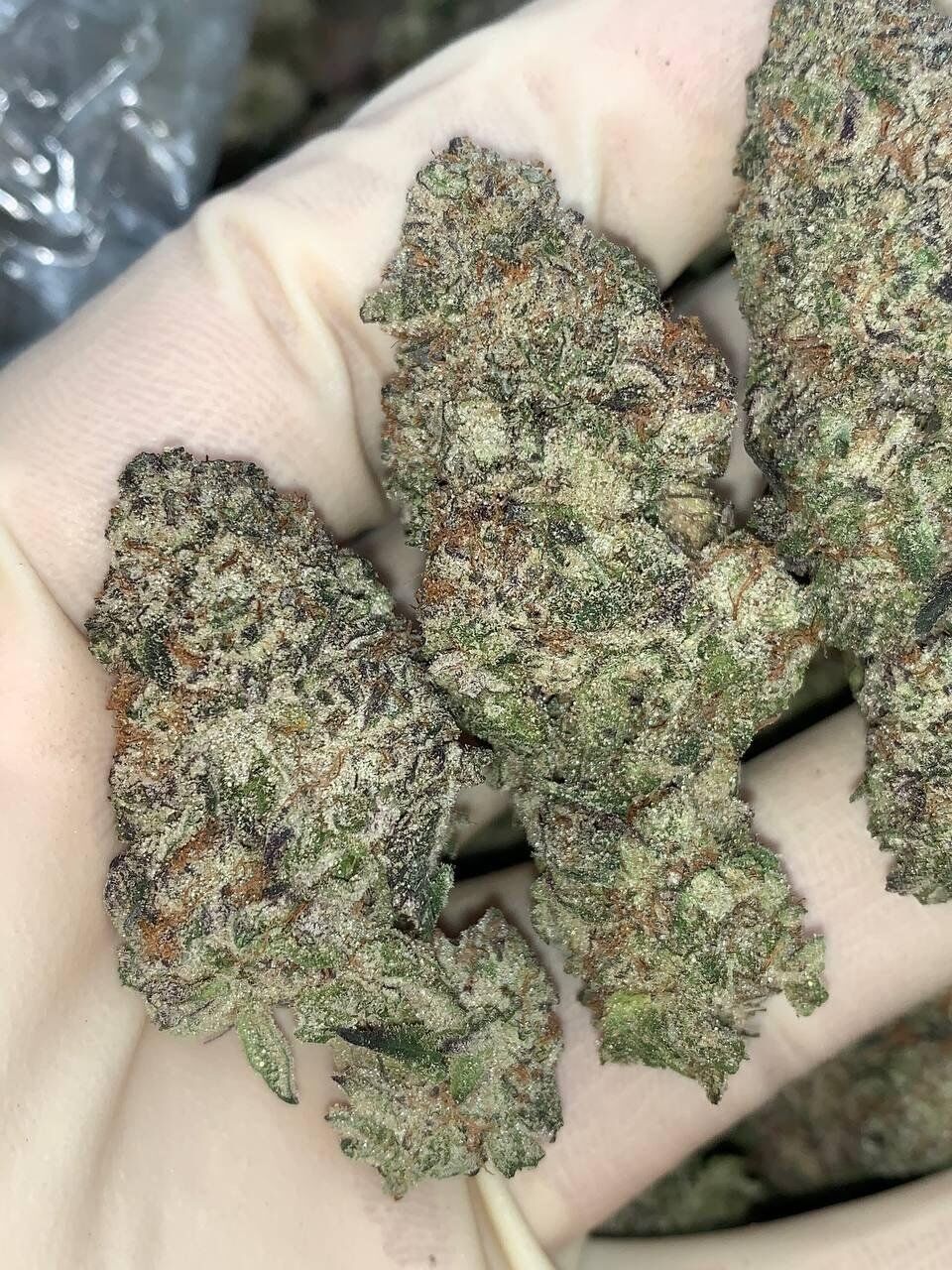 Galaxy Mac
