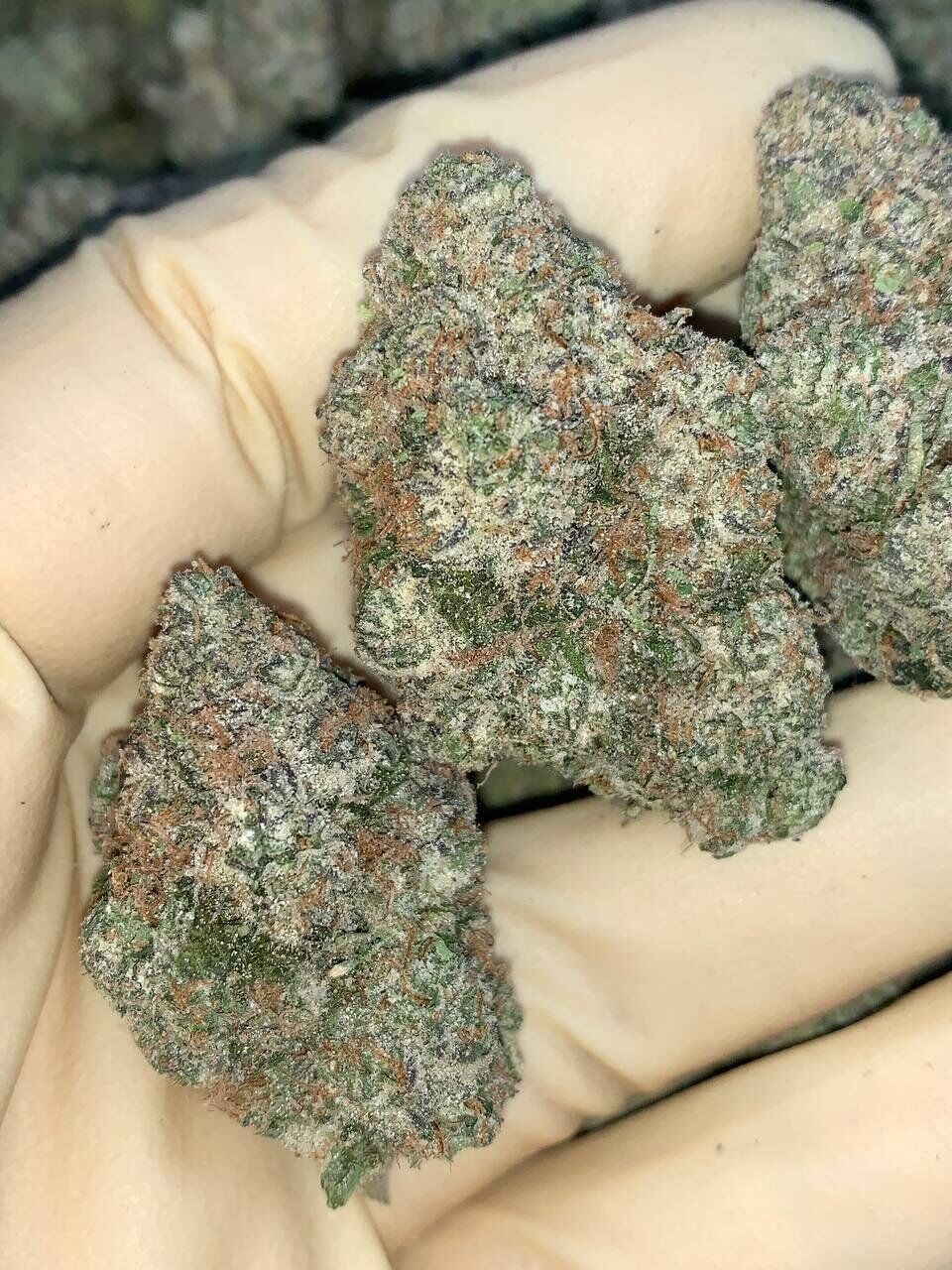 Lemon Cherry Pie