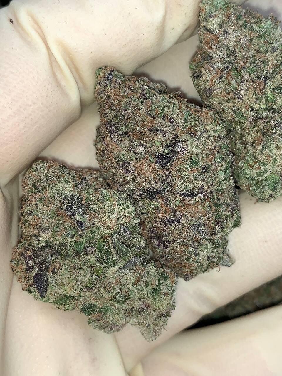 Melonade V6