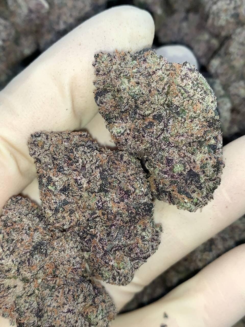 X Rated Candy