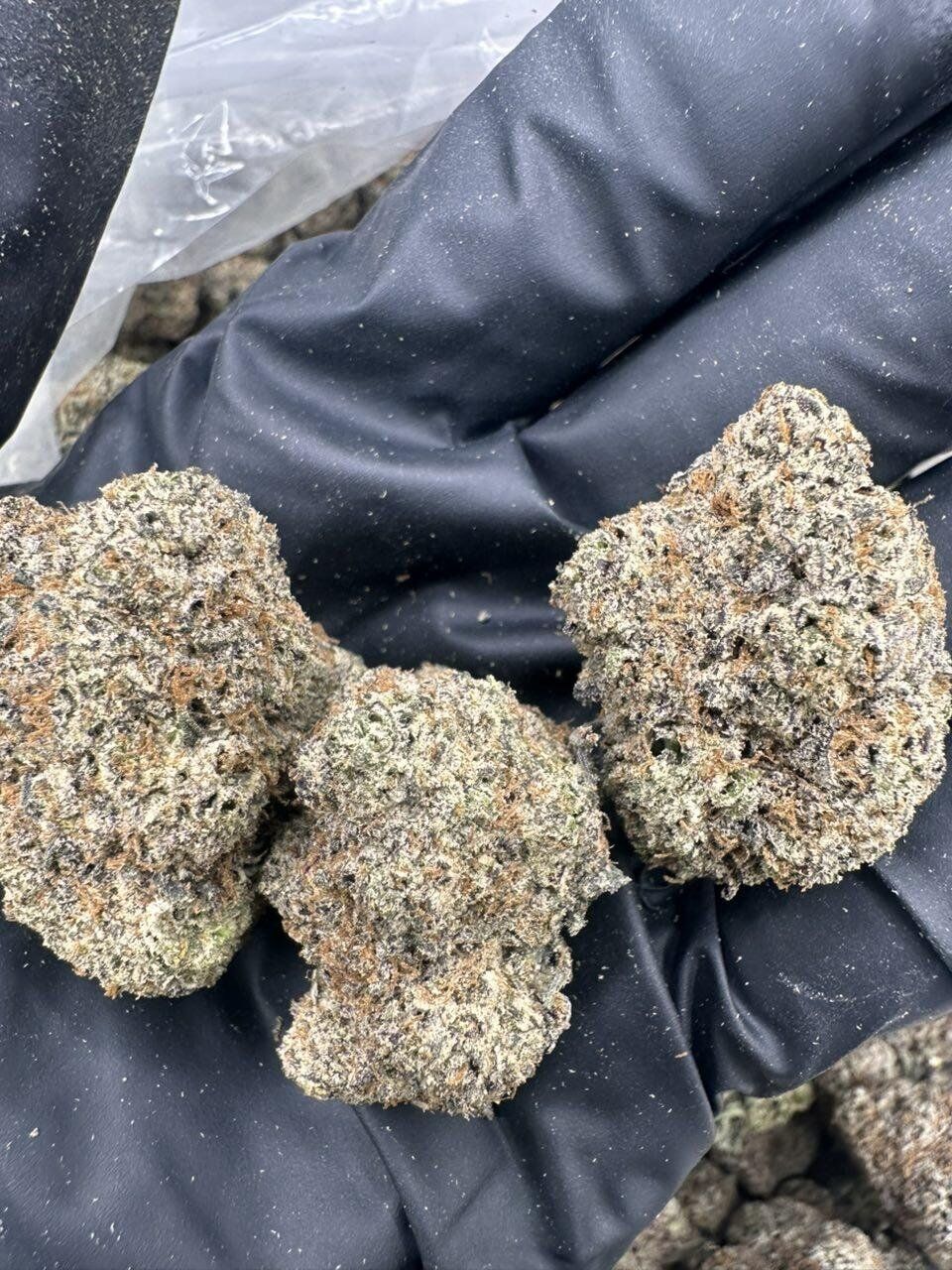 Blue Magic