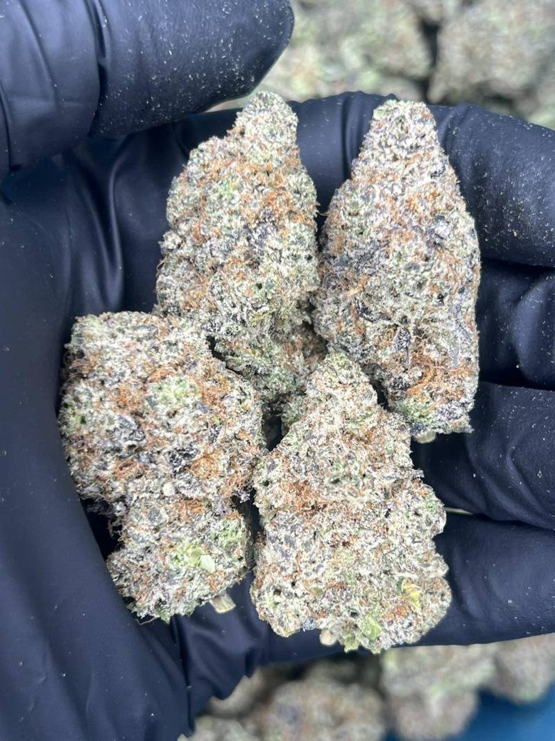 Chimera Kush