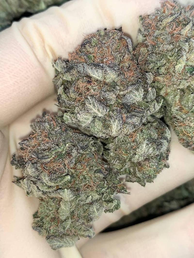 Grape Stomper - Image 2
