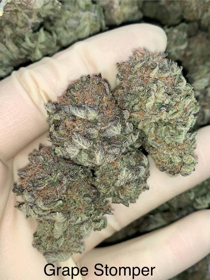 Grape Stomper