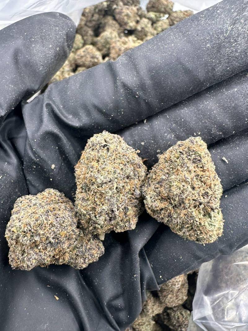 Martian