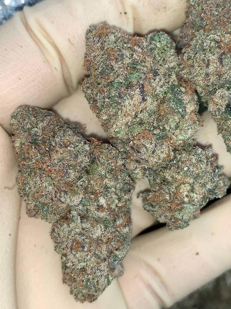 Spiked White Cherry Gelato