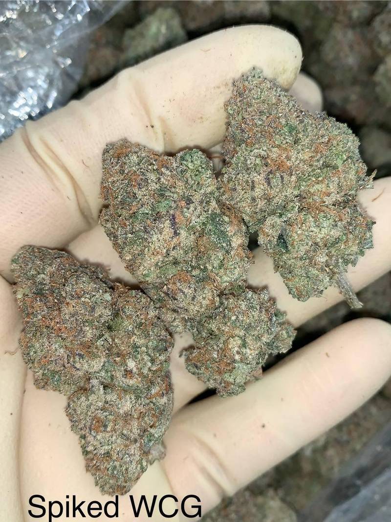 Spiked White Cherry Gelato - Image 2