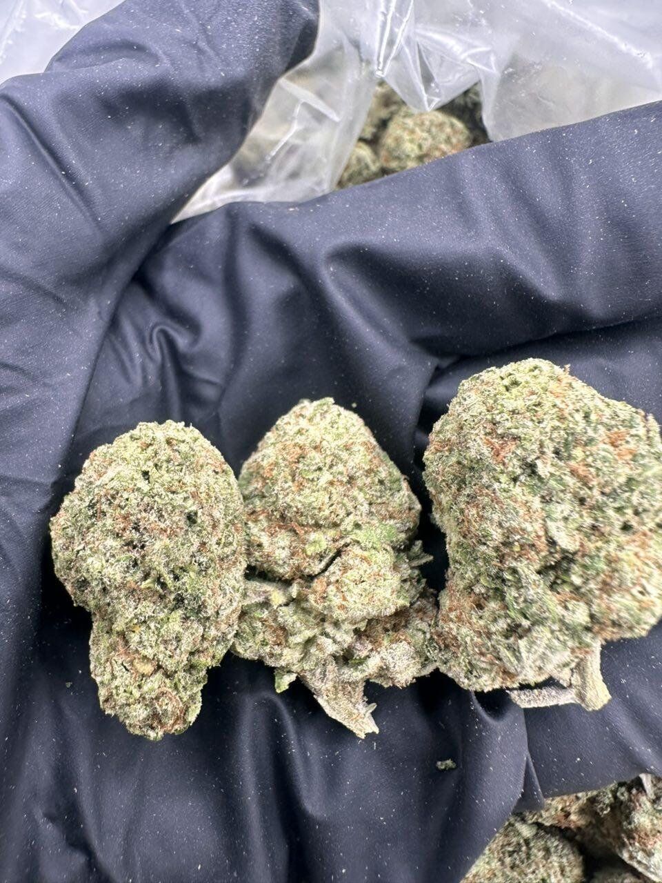Papaya Punch