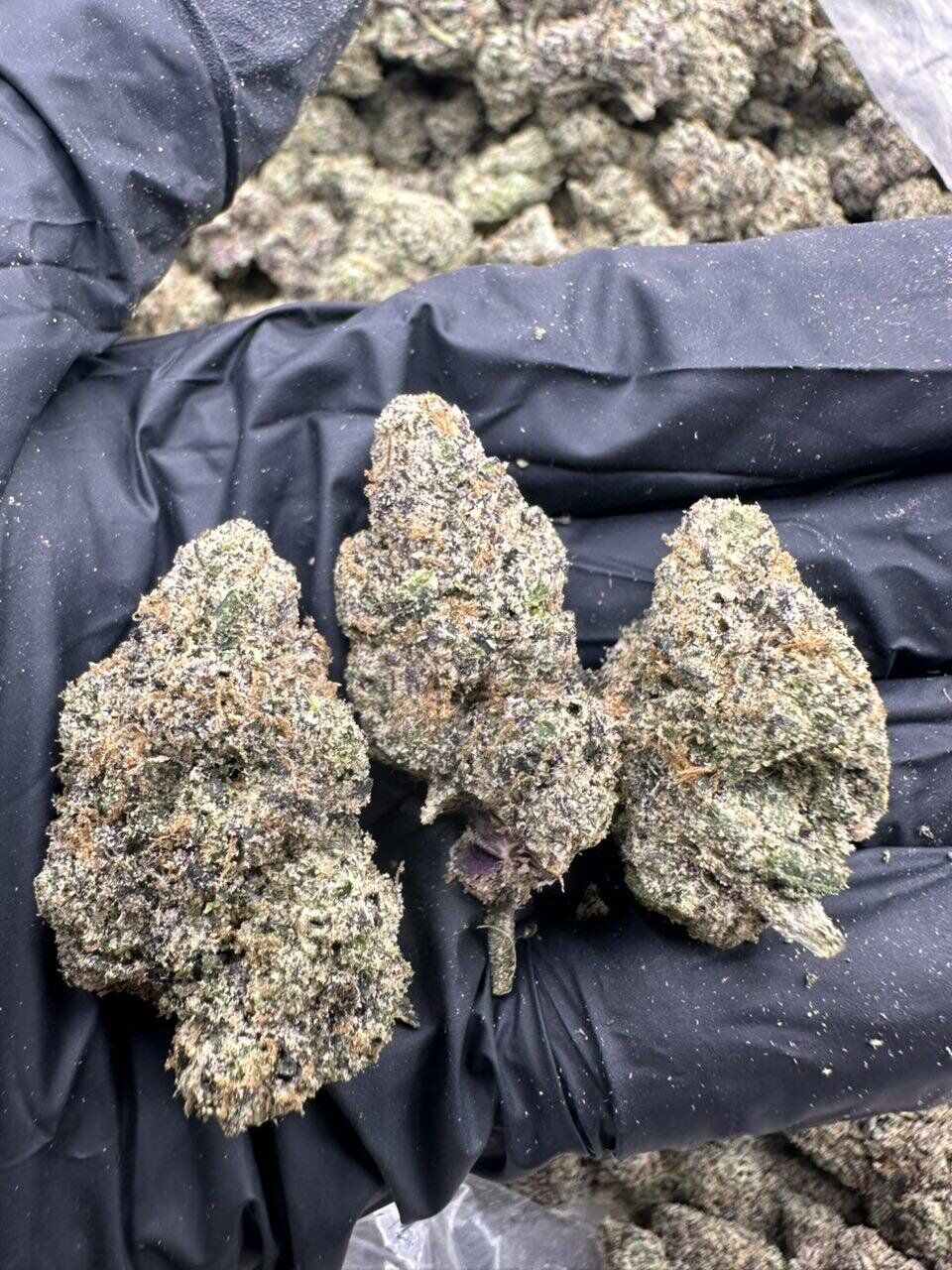 Blue Melons