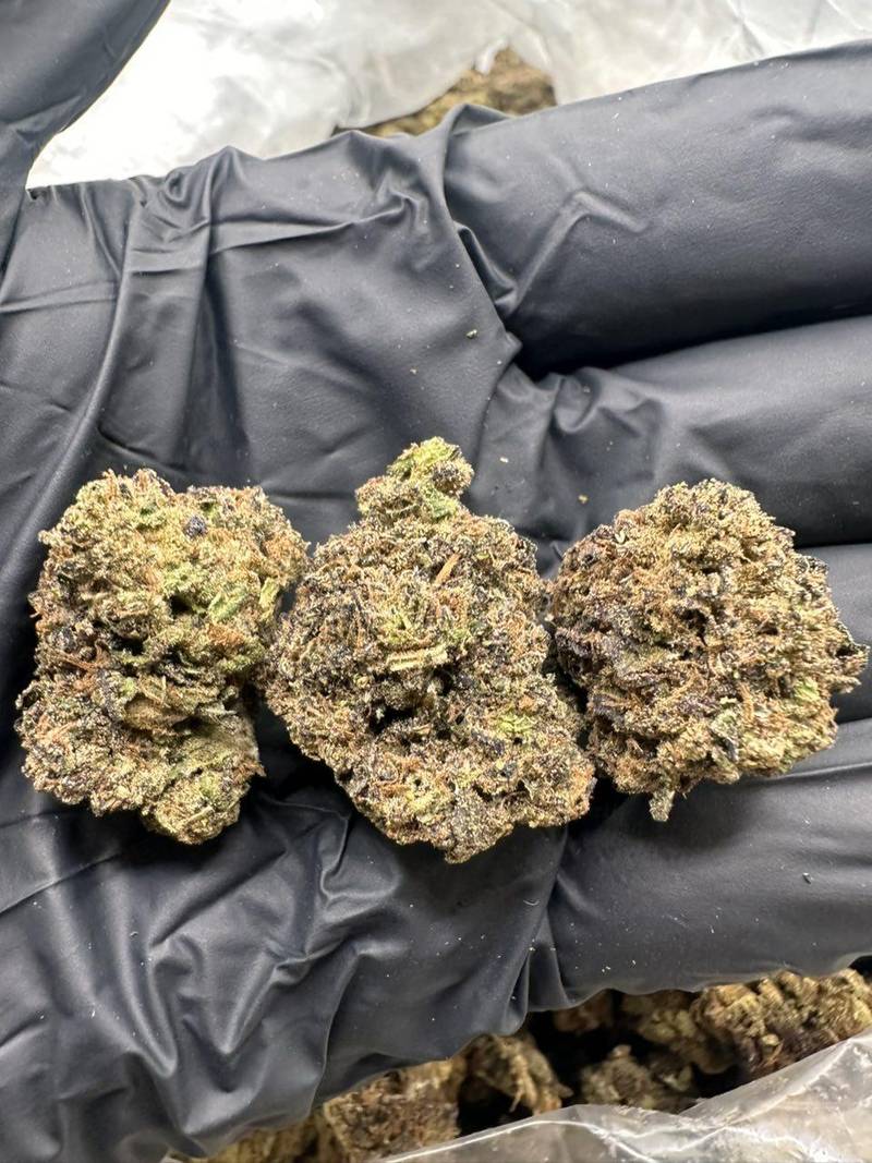 Candy Gelato