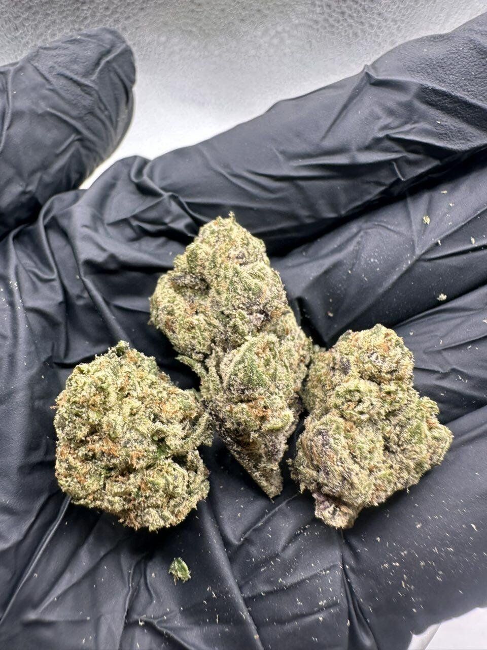 Noho Gelato