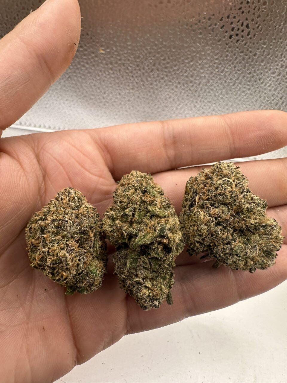 Chocolate Hashberry THCA Flower