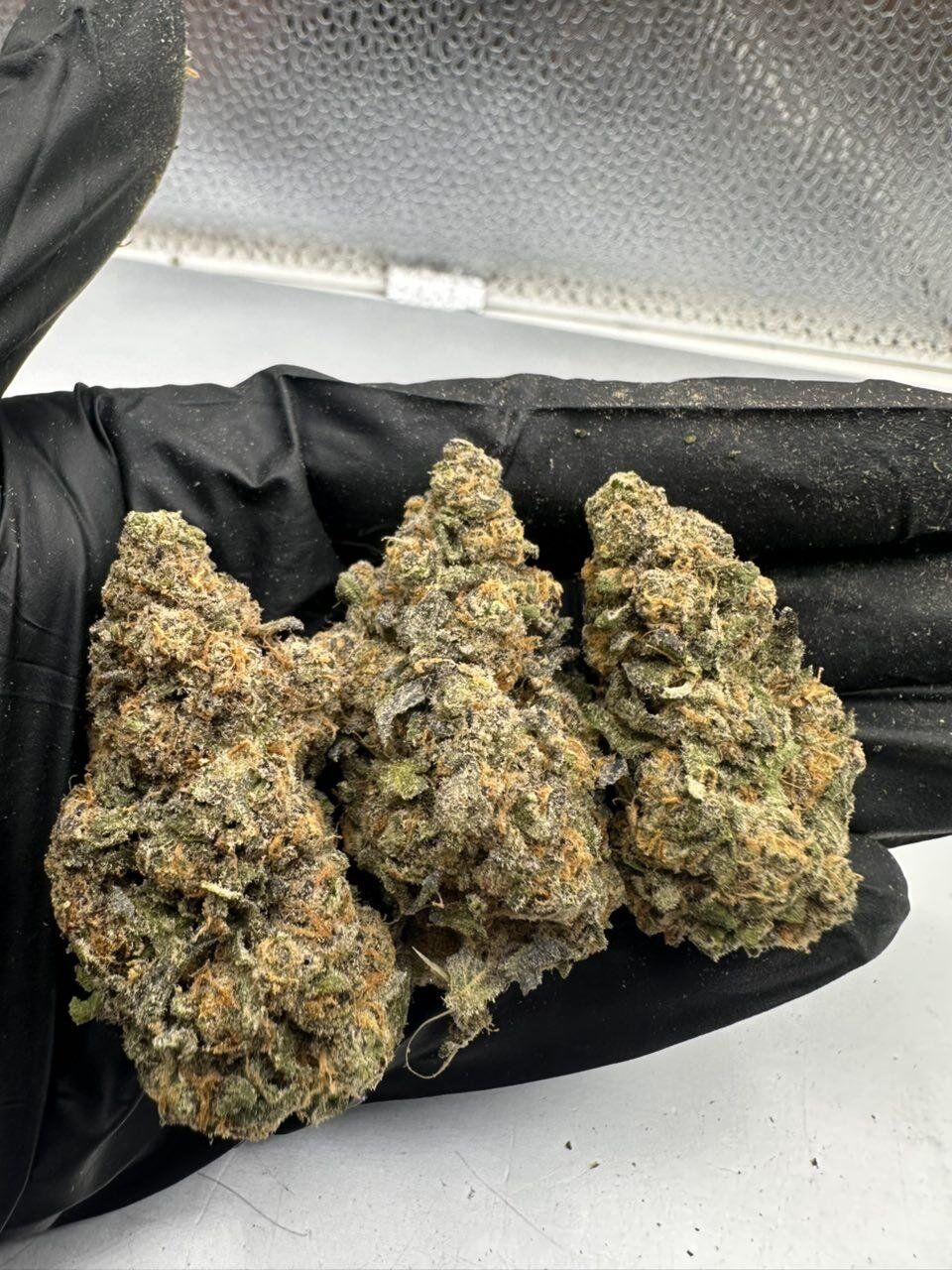 Insomnia Cake THCA Flower