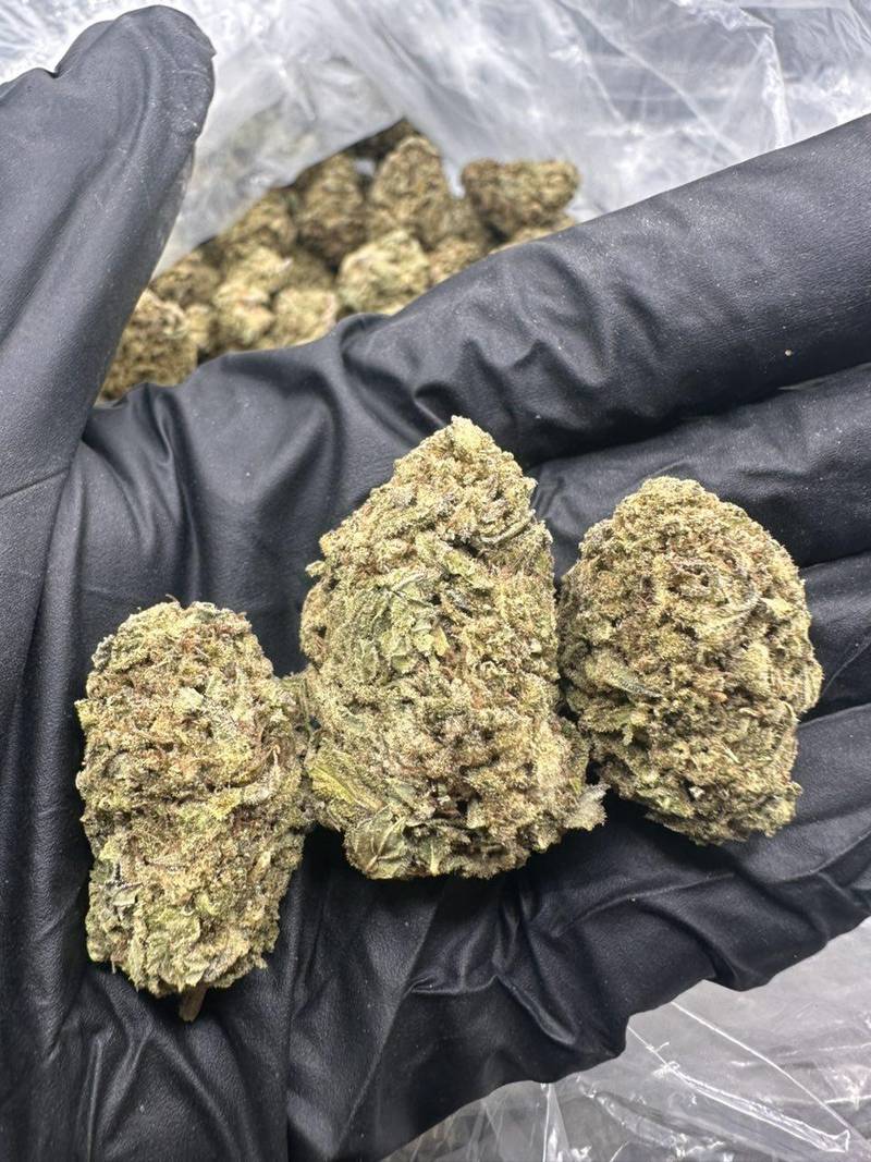 Key Lime Pie THCa Flower