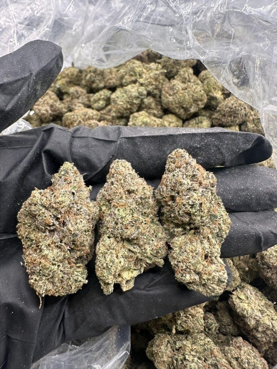 Tesla THCa Flower