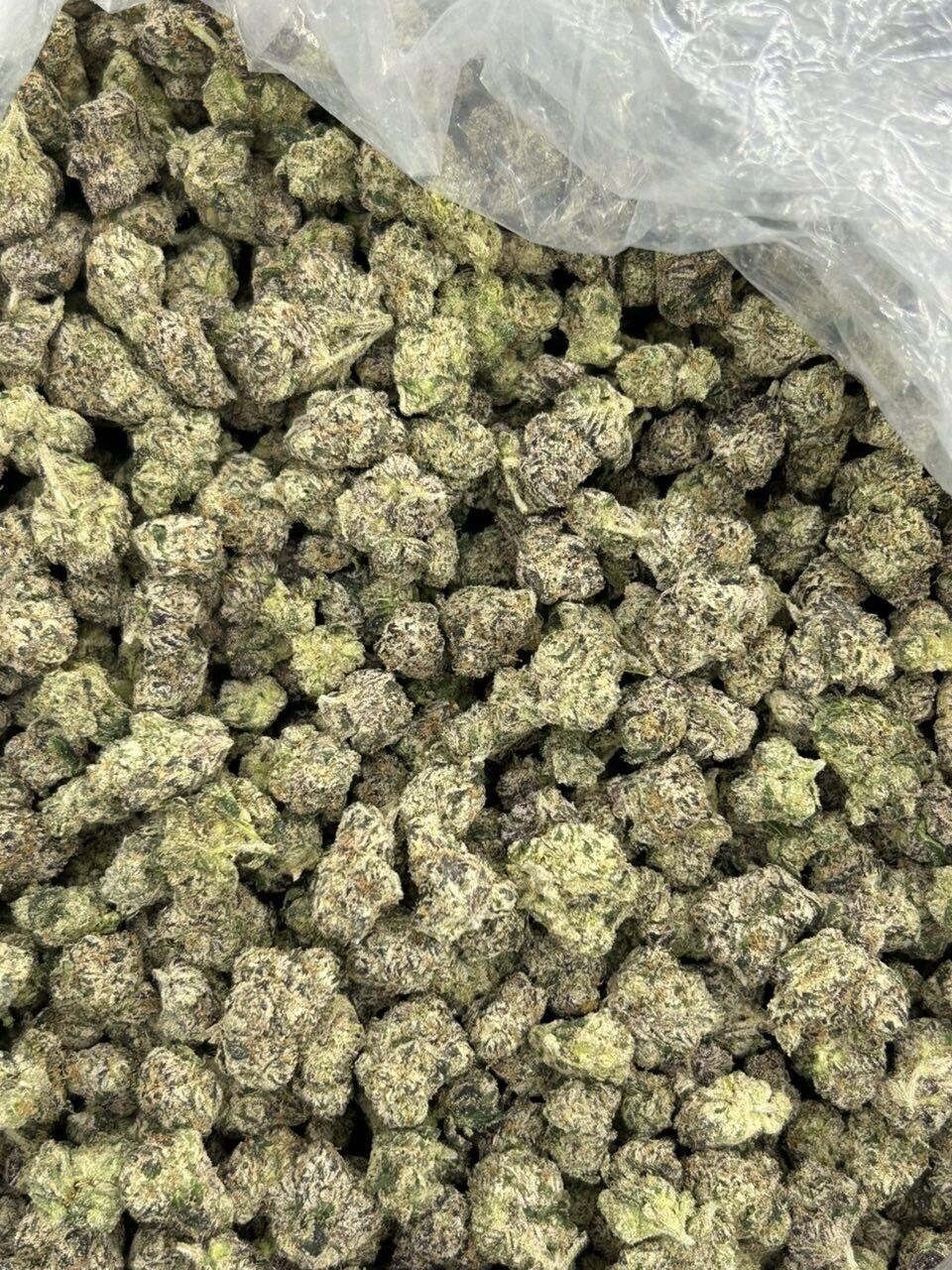 Exotic Schmediums THCA Flower