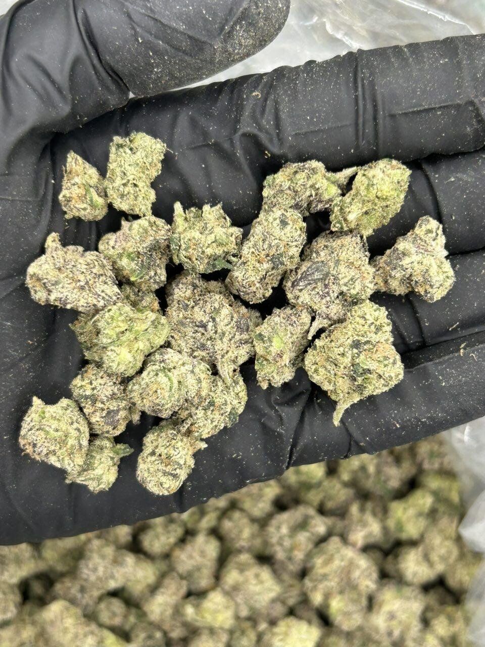 Exotic Schmediums THCA Flower - Image 2