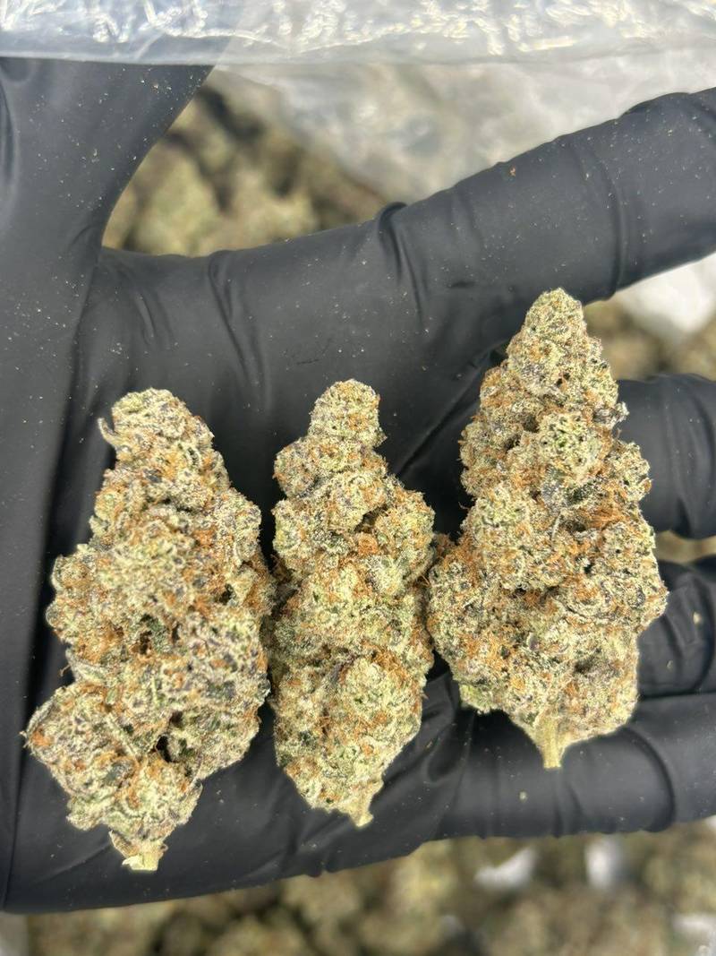Grape Gas THCa Flower - Image 2