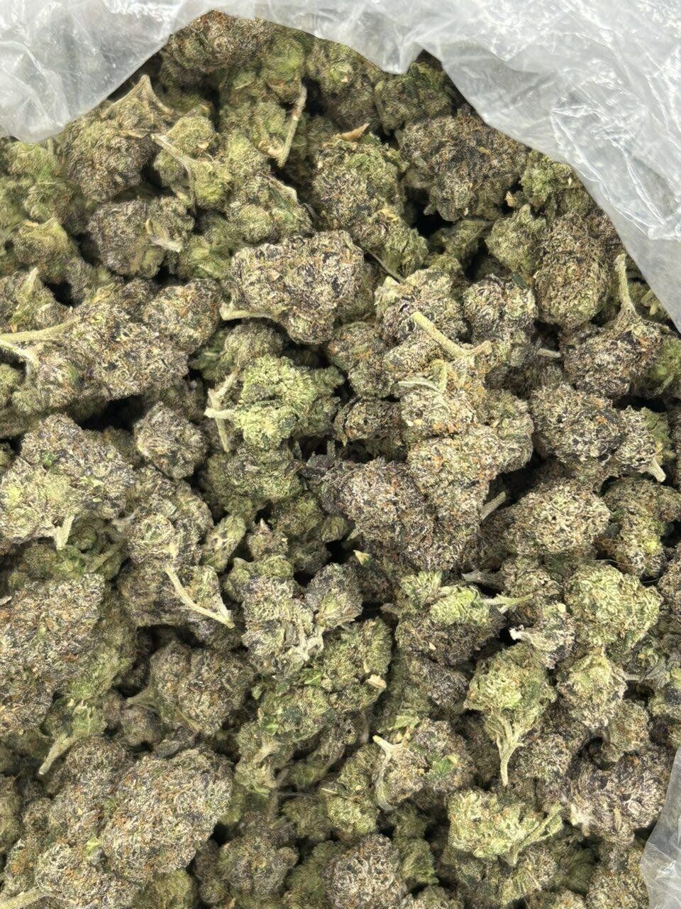 Magic Gumbo THCa Flower