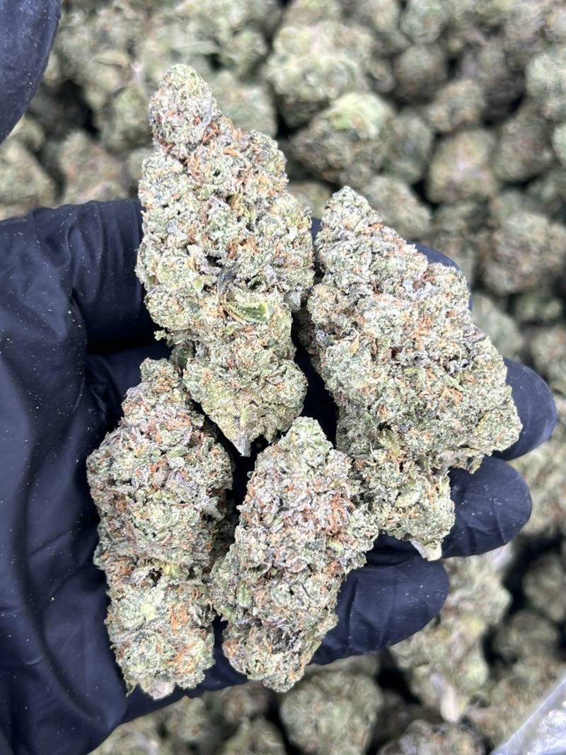 Purple Tesla THCa Flower - Image 2