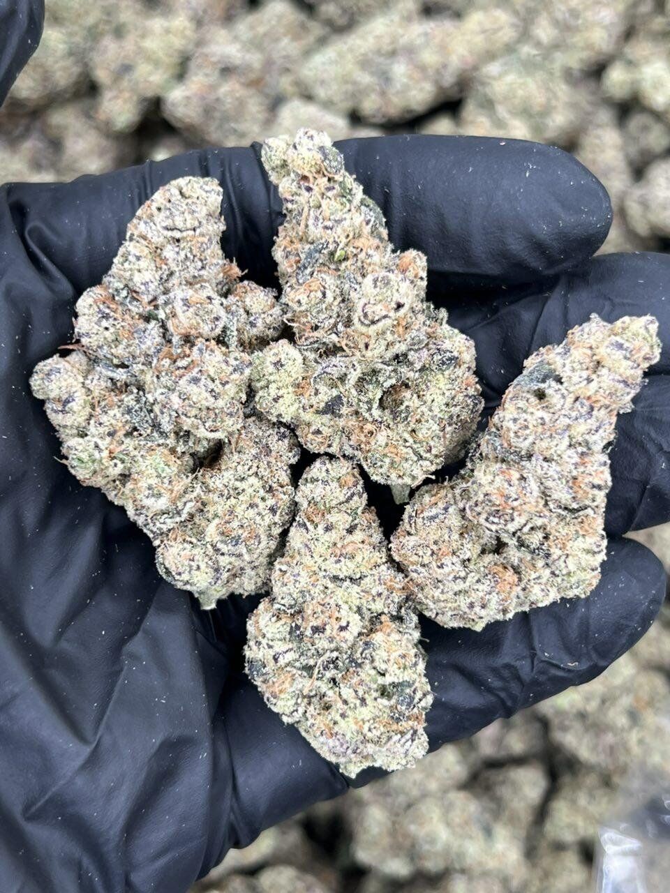 Snow Cone THCa Flower - Image 2