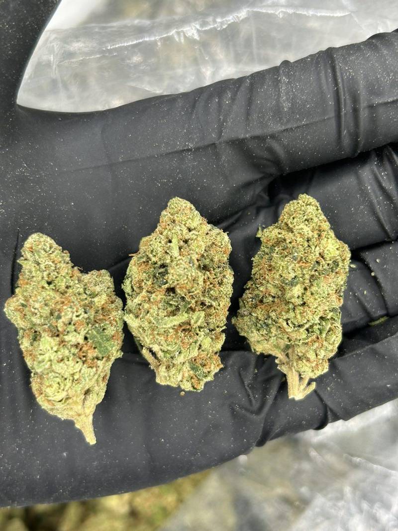 Triangle Kush THCa Flower - Image 2