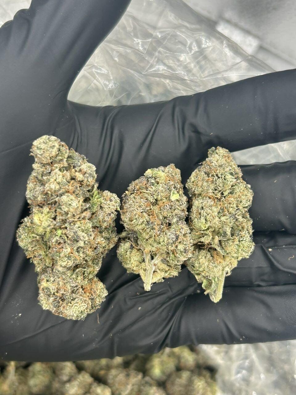 Vice City THCa Flower - Image 2